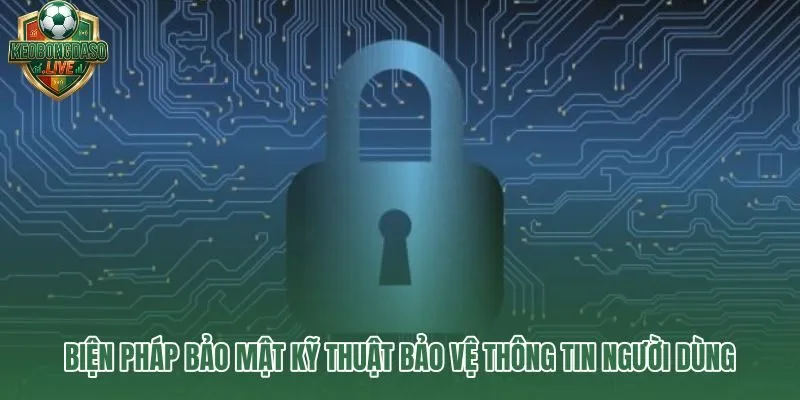 Lớp bảo mật kỹ thuật AES-256 và TLS 1.3 chống rò rỉ dữ liệu