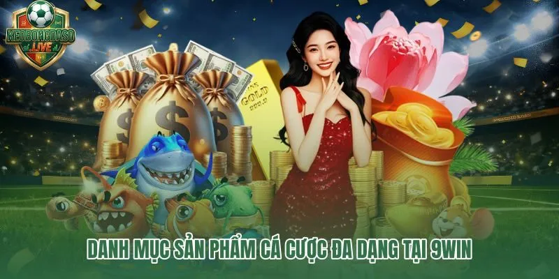 9win – danh mục cá cược liền mạch từ thể thao đến casino và slot