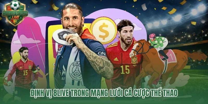 8live và vai trò nhà cái soi kèo thể thao uy tín