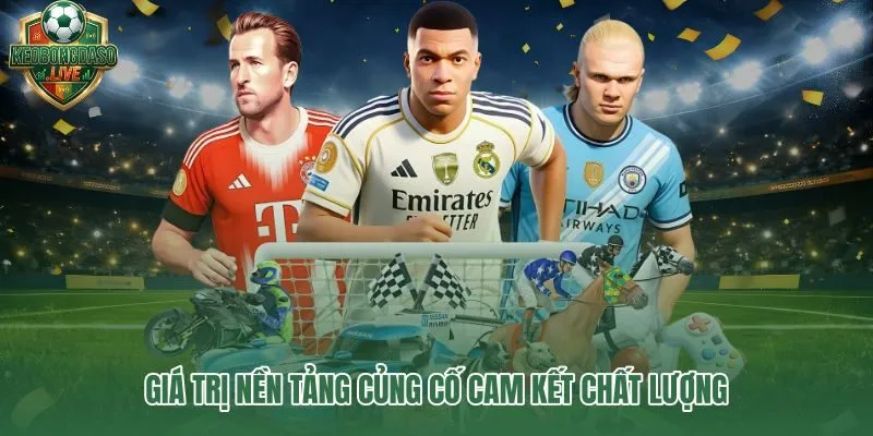 Giới thiệu ba giá trị minh bạch, tận tâm và nhất quán qua con số thực