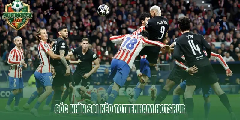 Góc nhìn soi kèo Tottenham Hotspur theo từng kịch bản cụ thể