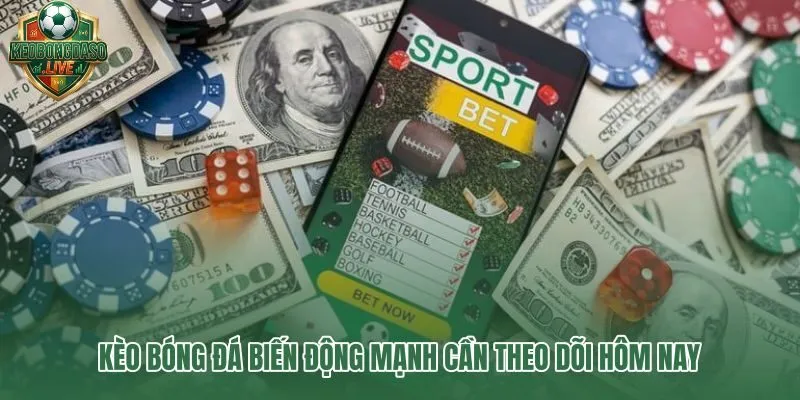 Kèo bóng đá biến động mạnh và tín hiệu dòng tiền trước giờ bóng lăn