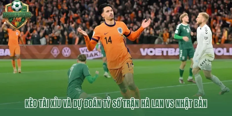 Hà Lan vs Nhật Bản tổng bàn 2.5 và dự đoán tỷ số hợp lý nhất