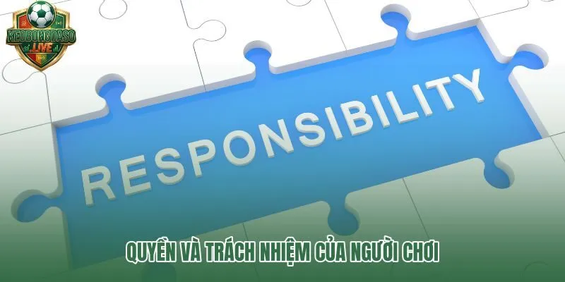 Quyền và nghĩa vụ người chơi trong khuôn khổ miễn trừ trách nhiệm nền tảng