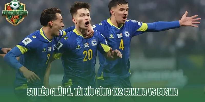 Tỷ lệ kèo Canada vs Bosnia và dấu hiệu thị trường trước trận