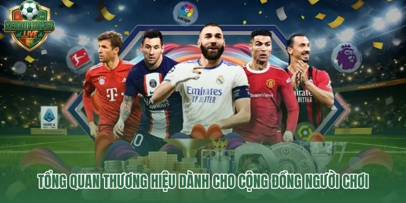 Giới thiệu tổng quan Keobongdaso qua dữ liệu vận hành minh bạch