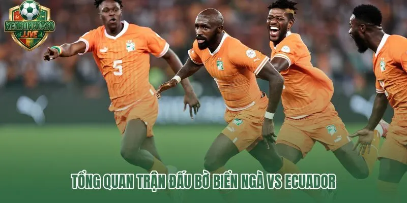 Bờ Biển Ngà vs Ecuador và sức nặng trận mở màn bảng E