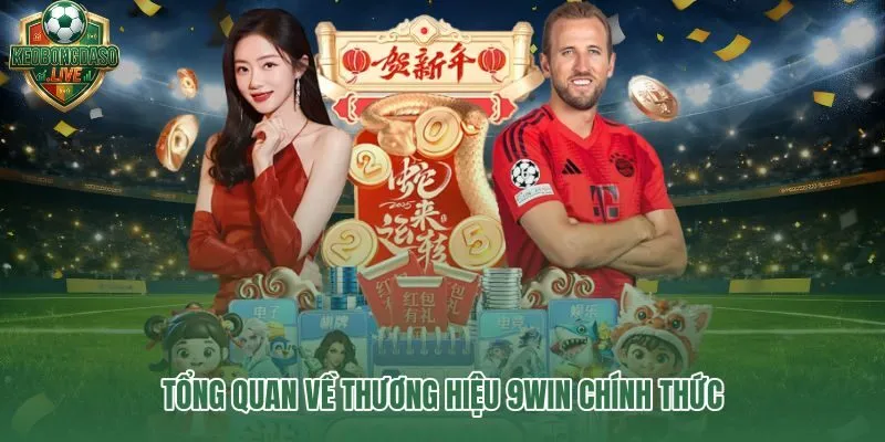 9win – thương hiệu cá cược châu Á với nhận diện rõ và vận hành ổn định